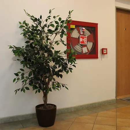 Promenada Apartment