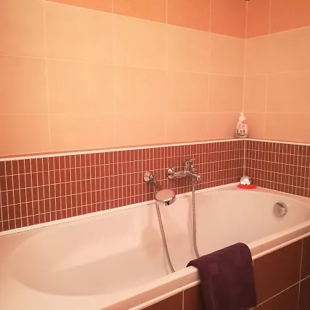 Apartment Apartment Promenada Podebrady