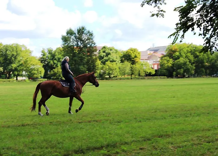 Apartament Promenada *